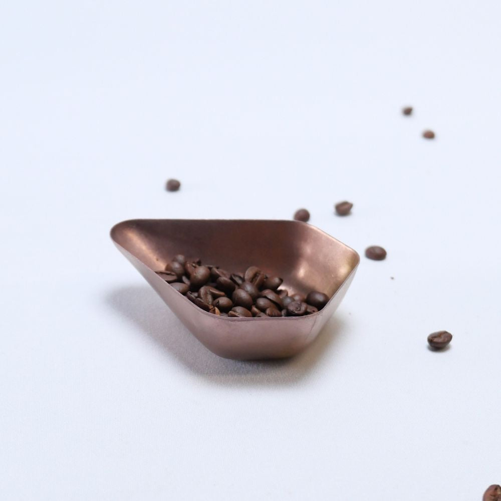 Coffee Bean Dish